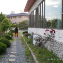 대교횟집 이미지