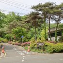 도학야영장 이미지