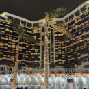 (주)나이트벤더스스튜디오 | [여행/투어] 마카오 나이트버스 야경투어 후기