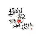 써니의그루브댄스
