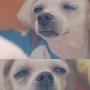 로 - 군산시 수송안11길 11 | 로