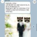 페이드필름 | W4-2. 본식DVD 별똥별필름 본식 후기🤍