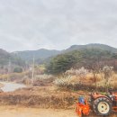 감자뜰농원 네이버블로그
