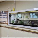 둥지유치원 | 부산노인유치원 자연 속에서 편안한 하루를 보낸 둥지재활주간보호센터 후기