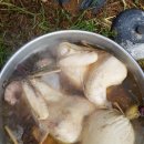 진규농장 이미지