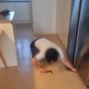 호반세탁 네이버블로그