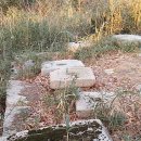 사자사지 이미지