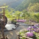 산골초가 이미지