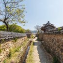 달콤한 밥상 이미지