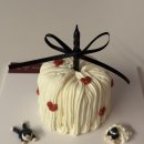 시랑회관 | W10. 셀럽앤어셈 본식 후기💗 (feat. 프러포즈)