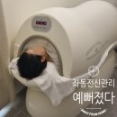 수앤수뷰티 | 좌동전신관리 예뻐졌다 좌동점 슬리밍라인 케어 찐후기
