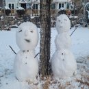 산새체육공원 | [공지] 이제 겨울 시즌이 마무리 되고 2025년 새봄을 맞을 준비를 시작합니다~
