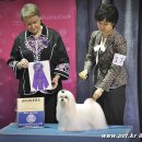 히든밸리켄넬 이미지