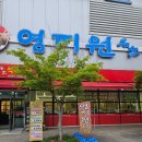 영지원 명가 | 수완지구 영지원명가 내돈내산솔직후기