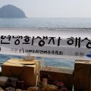 창작발레 애기섬 이미지