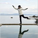 섬에 머물다 이미지