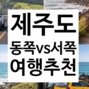 뉴제주약국 이미지