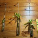 몽마르죠 이미지