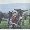 호택농장 네이버블로그