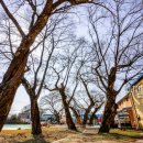 장록보건진료소 이미지