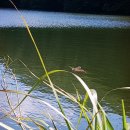 화원관광지 이미지