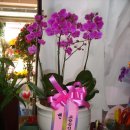 여주-0203 이미지