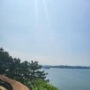 테라마르 | 보령여행 4일차(목) - 무창포(8월 19일, 목)