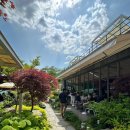 다람쥐마을누룽지백숙 이미지