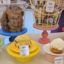 하이도나 이미지