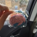 바르바커피 | 대부도여행 대부도베이커리카페 &#34;바르바커피 타워360&#34; 내돈내산후기