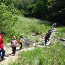 금강소나무숲길 4구간(대왕소나무길) 10.5km 5시간. 너삼밭-대광천-썩바골폭포-대왕송-샛재 이미지