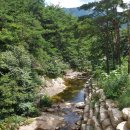 화왕산자연휴양림 이미지