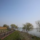 삽교호 호수공원 야구장 이미지