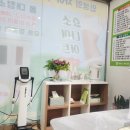 파비스애니원부산
