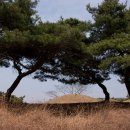 단산회관 이미지