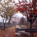 양지공원 내 이미지