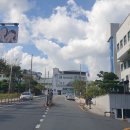 함안군청 이미지