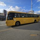 동거창농협 | 거창 Y자 출렁다리 후기 – 가을 단풍 명소로 추천해요