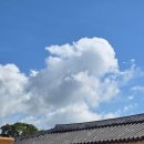 서복전시관-주차장 | 서복전시관 무료개방 체험 후기