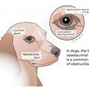 잠실미소약국 이미지