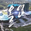 G1방송 특집다큐 「올인!」 전국 방영 확정. 이미지