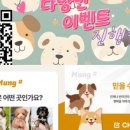 멍샵 강아지분양 인천본점 이미지