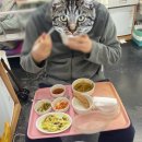 발가락 단지증 수술후기(2) (입원/수술/퇴원/보험청구)