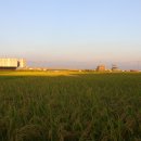 노을이야기 이미지