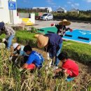 한동초등학교 이미지