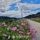 일직면행정복지센터 이미지