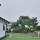 안산 대부도 펜션 느루 다감스테이 독채풀빌라 후기