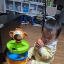 공굴리기 | 하늘썬별 몽키 공굴리기 볼 타워 HUANHE0205 찐 사용후기｜아기 혼자 집중하는 장난감