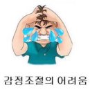 포니갤러리 | 이날 뭐해? 드래곤포니 보러,, 그럼 이날은? 드포니,, 봐,, 이날도? ㄷㅍㄴ