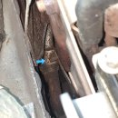 동양카센타 이미지